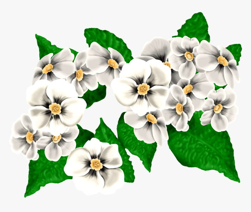 0 134569 A04db3df Orig - Moth Orchid, HD Png Download, Free Download