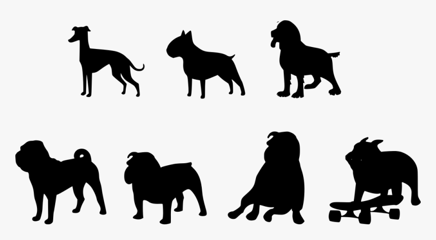 Pet Png, Transparent Png, Free Download