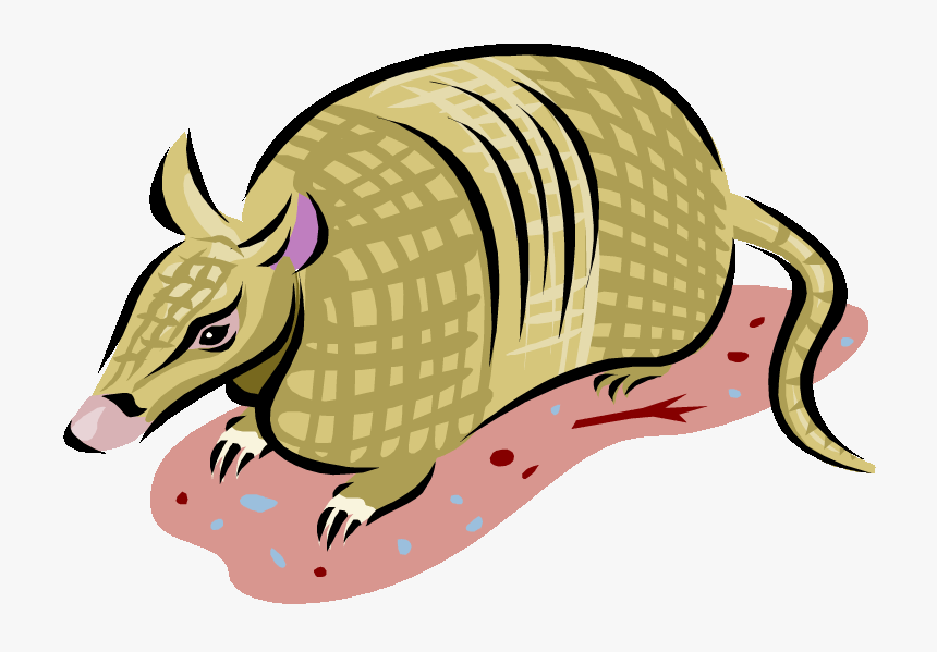 9 Banded Armadillo Clipart - Armadillo Cartoon On Transparent Background, HD Png Download, Free Download