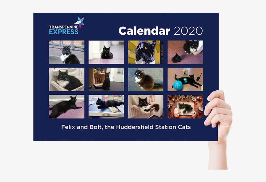 Felix The Huddersfield Station Cat Calendar 2020, HD Png Download, Free Download
