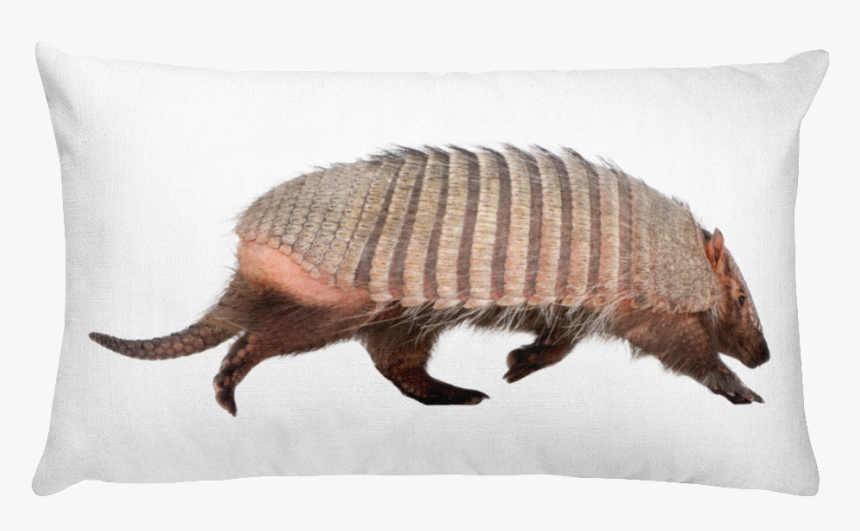 Pillow, HD Png Download, Free Download