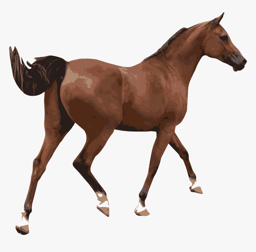 Caballo 3 Clip Arts - Caballo Sticker, HD Png Download, Free Download