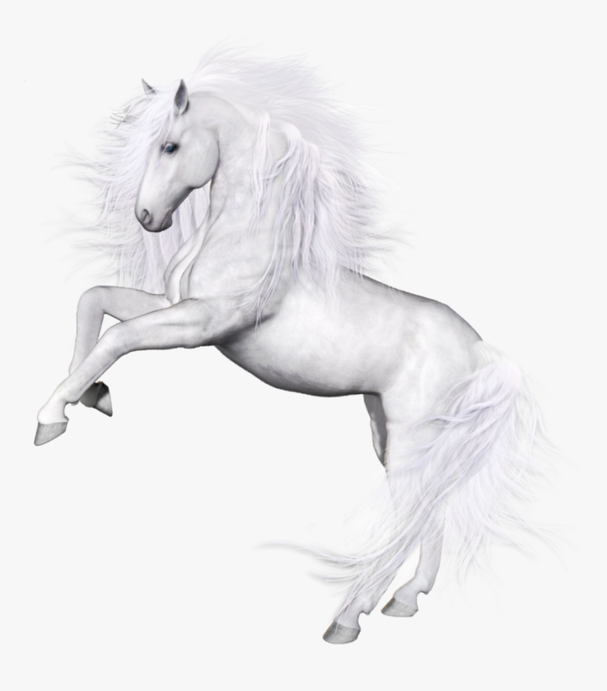 #caballo #caballos - Transparent Background White Unicorn, HD Png Download, Free Download