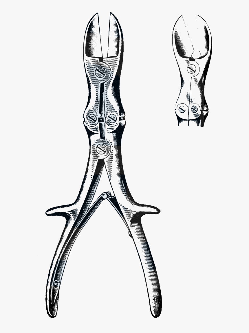 Stille-liston Bone Cutting Forceps, Angular Jaws - Bone Cutting Forceps, HD Png Download, Free Download