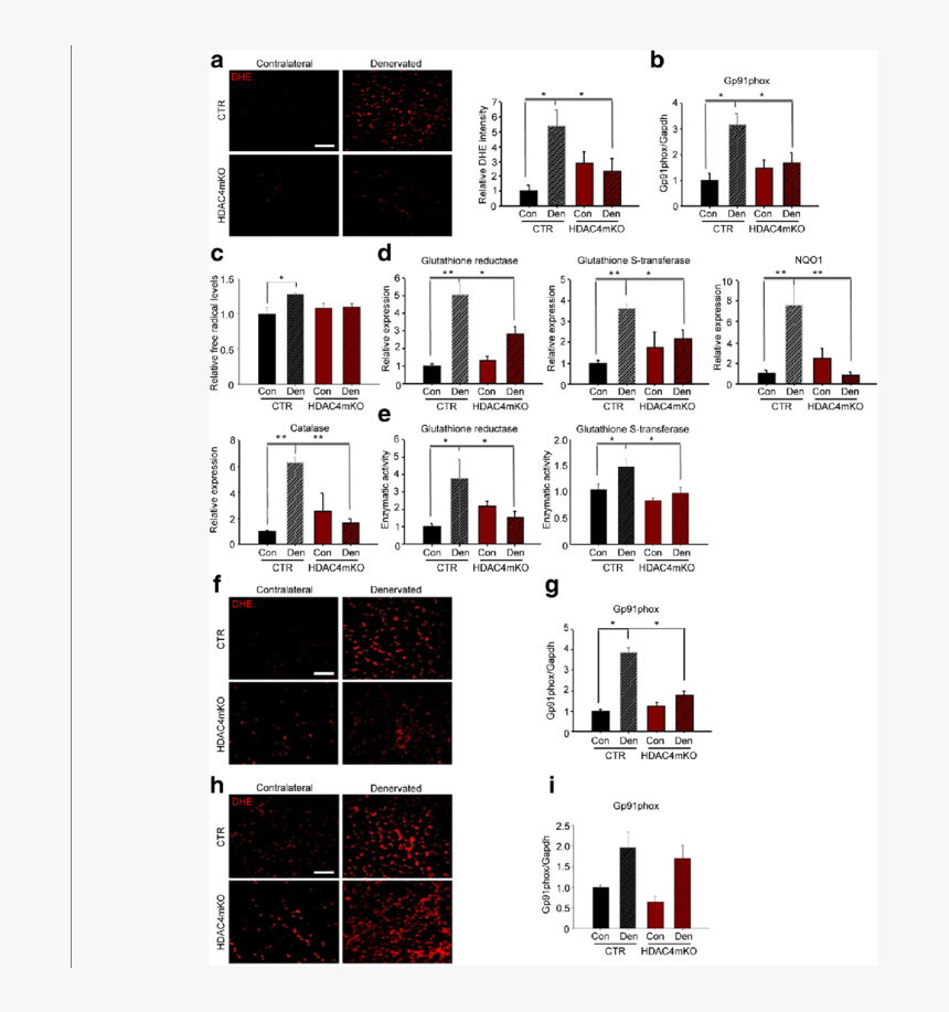 Architecture, HD Png Download, Free Download