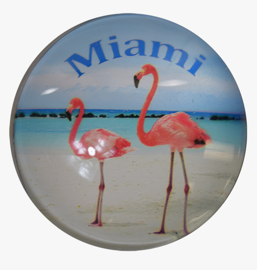 Miami Flamingo G1000-09 Glass Magnet 50mm, HD Png Download, Free Download