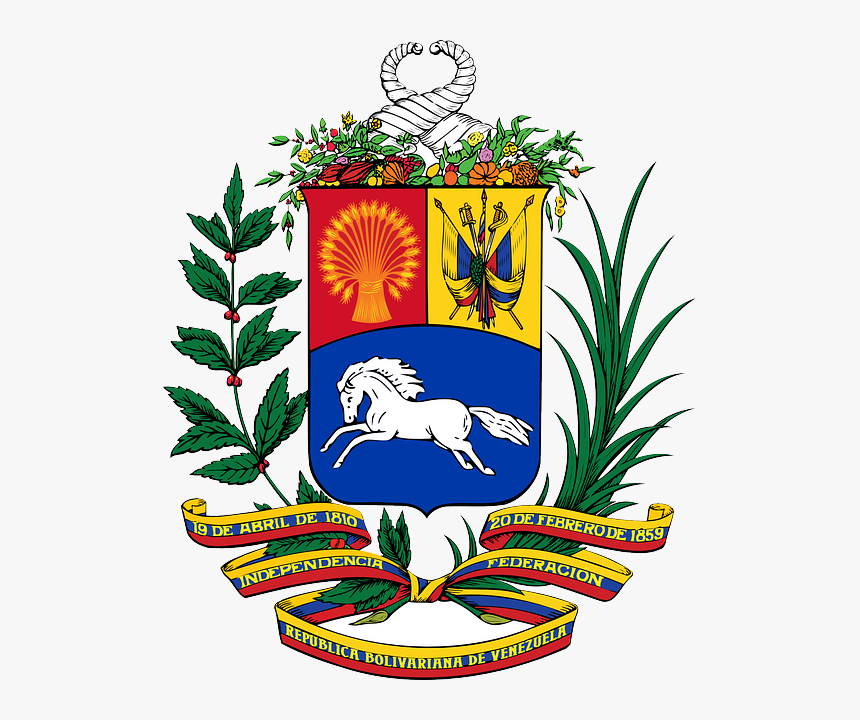 Flag, Plants, Horse, Coat, Arms, Venezuela, Escudo - Escudo De Armas De Venezuela, HD Png Download, Free Download