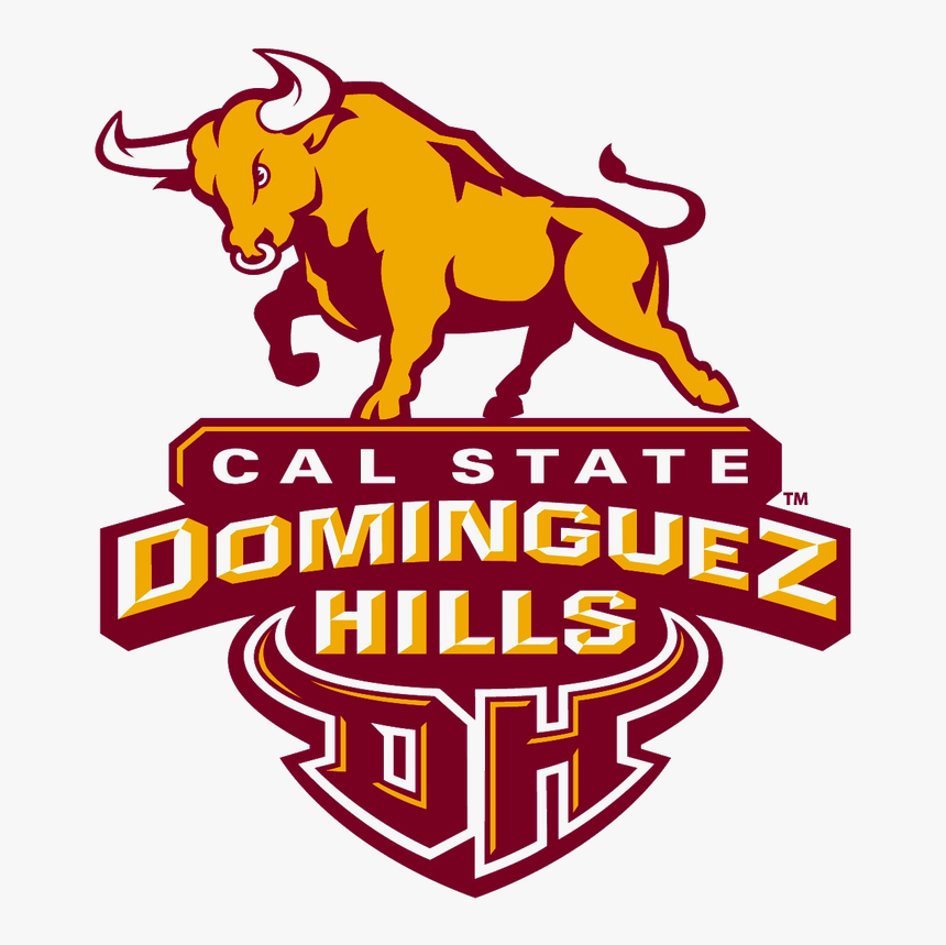 Vertical Divider, Hd Png Download - California State University Dominguez Hills Banner, Transparent Png, Free Download