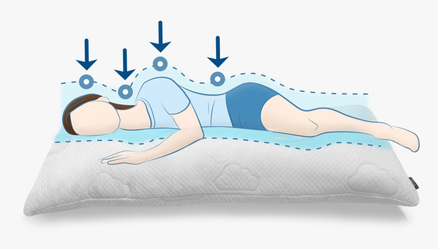 Full Body Support Pillow"
 
 Src="//cdn - Illustration, HD Png Download, Free Download