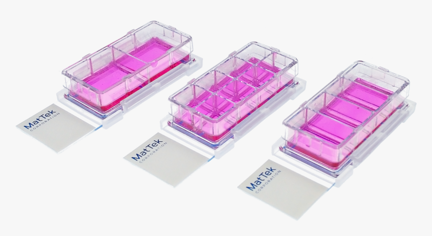 Culture Slides Trio - Slide Chamber Cell Culture, HD Png Download, Free Download