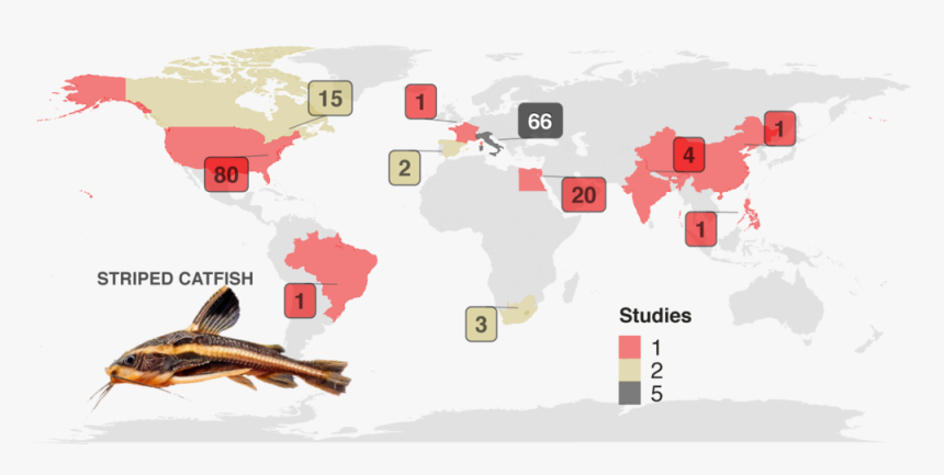 Map, HD Png Download, Free Download