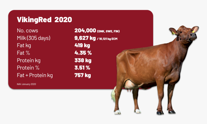 Fertility Goals For Cattle, HD Png Download, Free Download