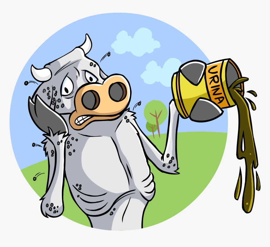 Transparent Sick Png - Happened To Sick Cows, Png Download, Free Download