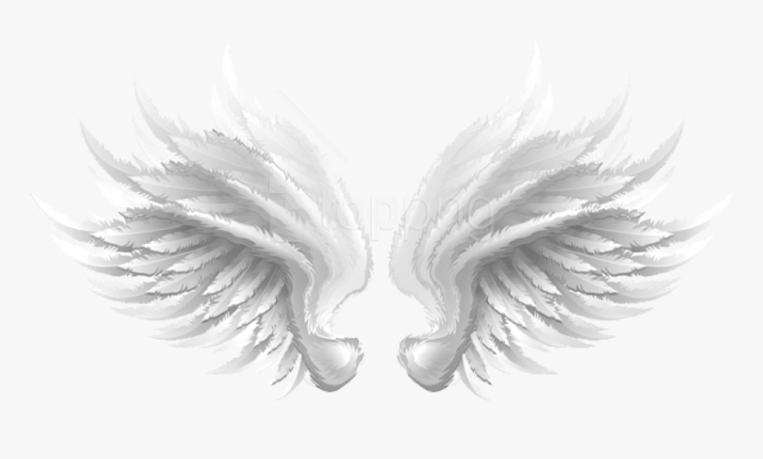 Free Png Download White Wings Transparent Clipart Png - طرح لوگوی علیرضا طلیسچی, Png Download, Free Download