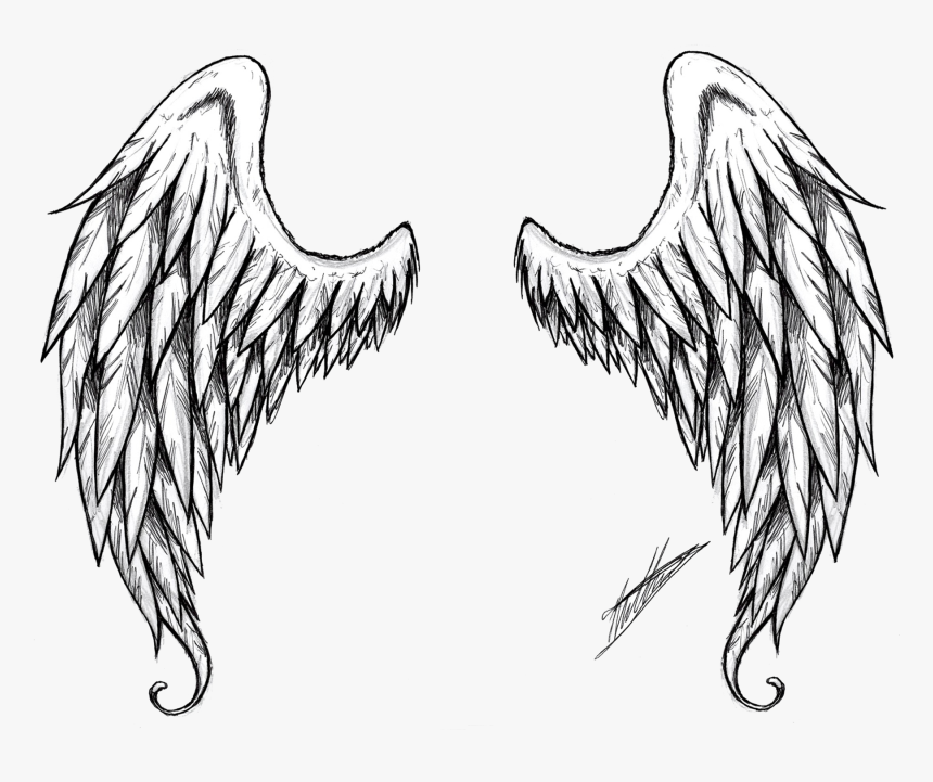 Wings Png Image Download - Realistic Angel Wings Drawing, Transparent Png, Free Download