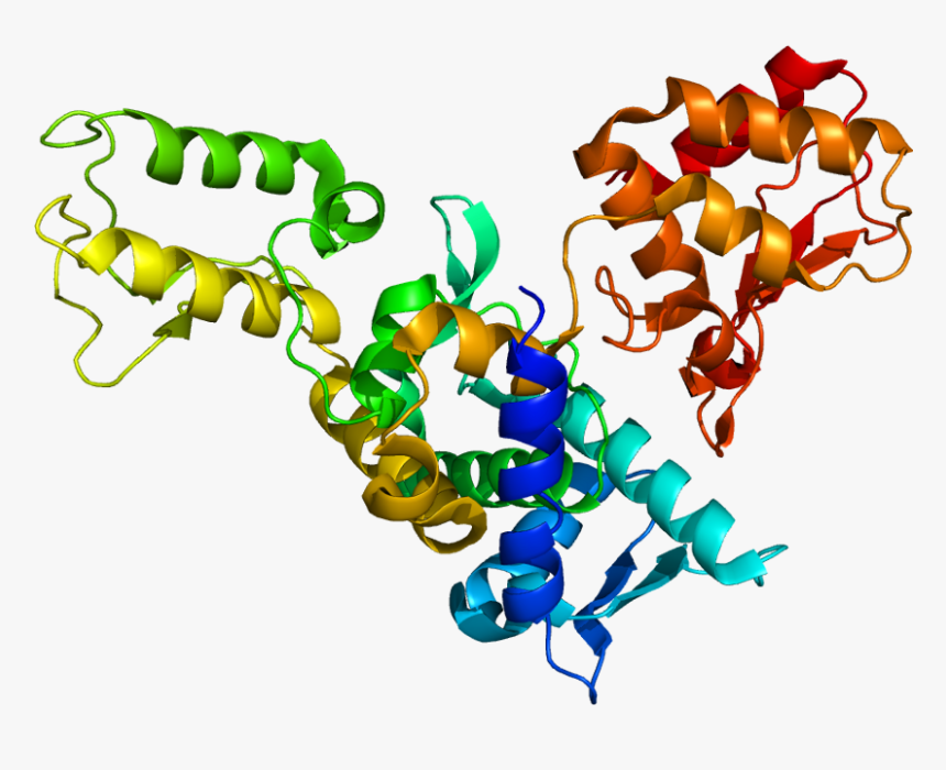 Protein Smurf2 Pdb 1zvd - Smurf Protein, HD Png Download, Free Download