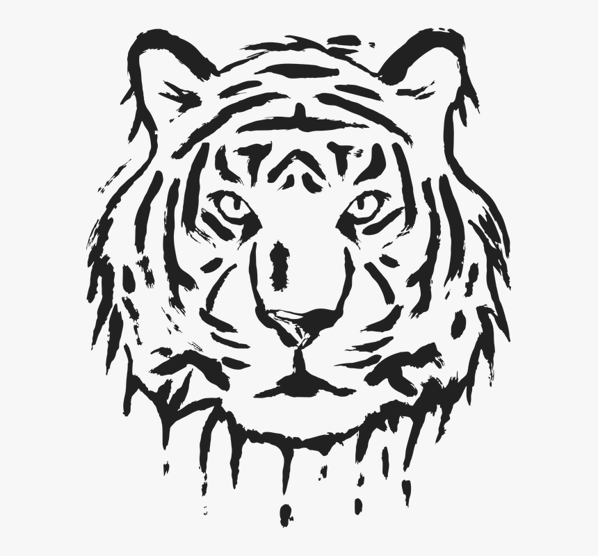 Siberian Tiger, HD Png Download, Free Download