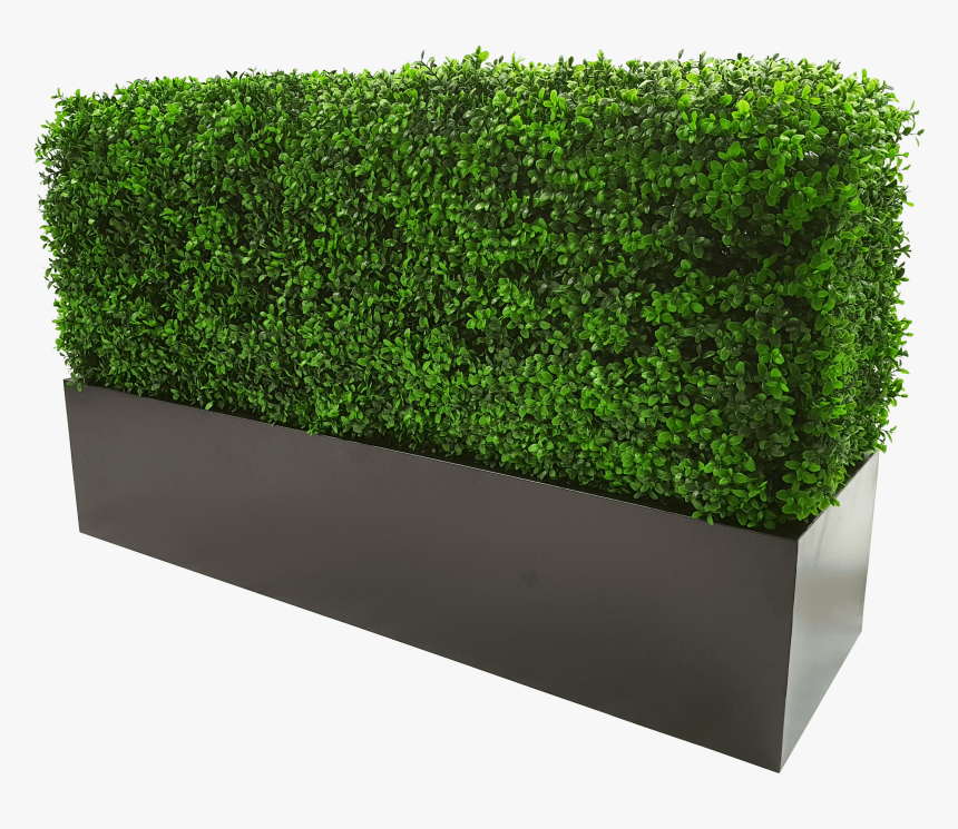 Metal Planter For Artificial Hedges With Boxhood - Transparent Background Box Hedge Png, Png Download, Free Download