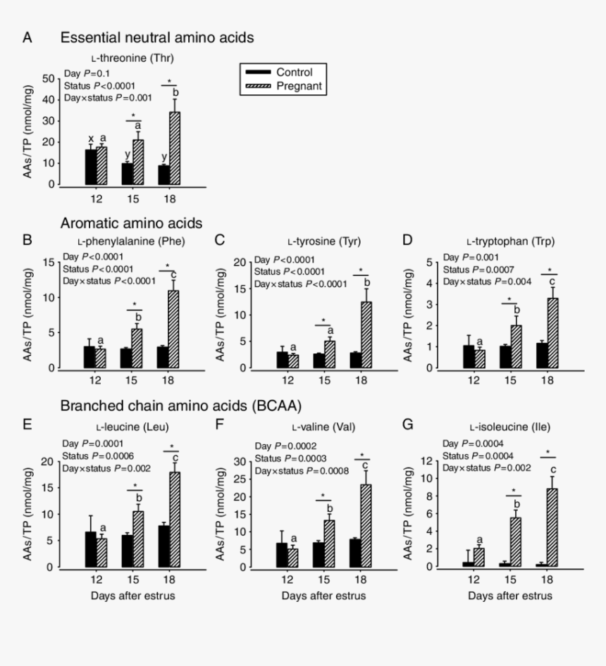 Diagram, HD Png Download, Free Download