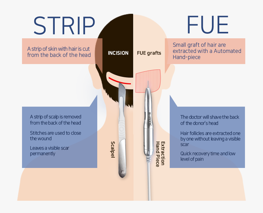 Flyer, HD Png Download, Free Download