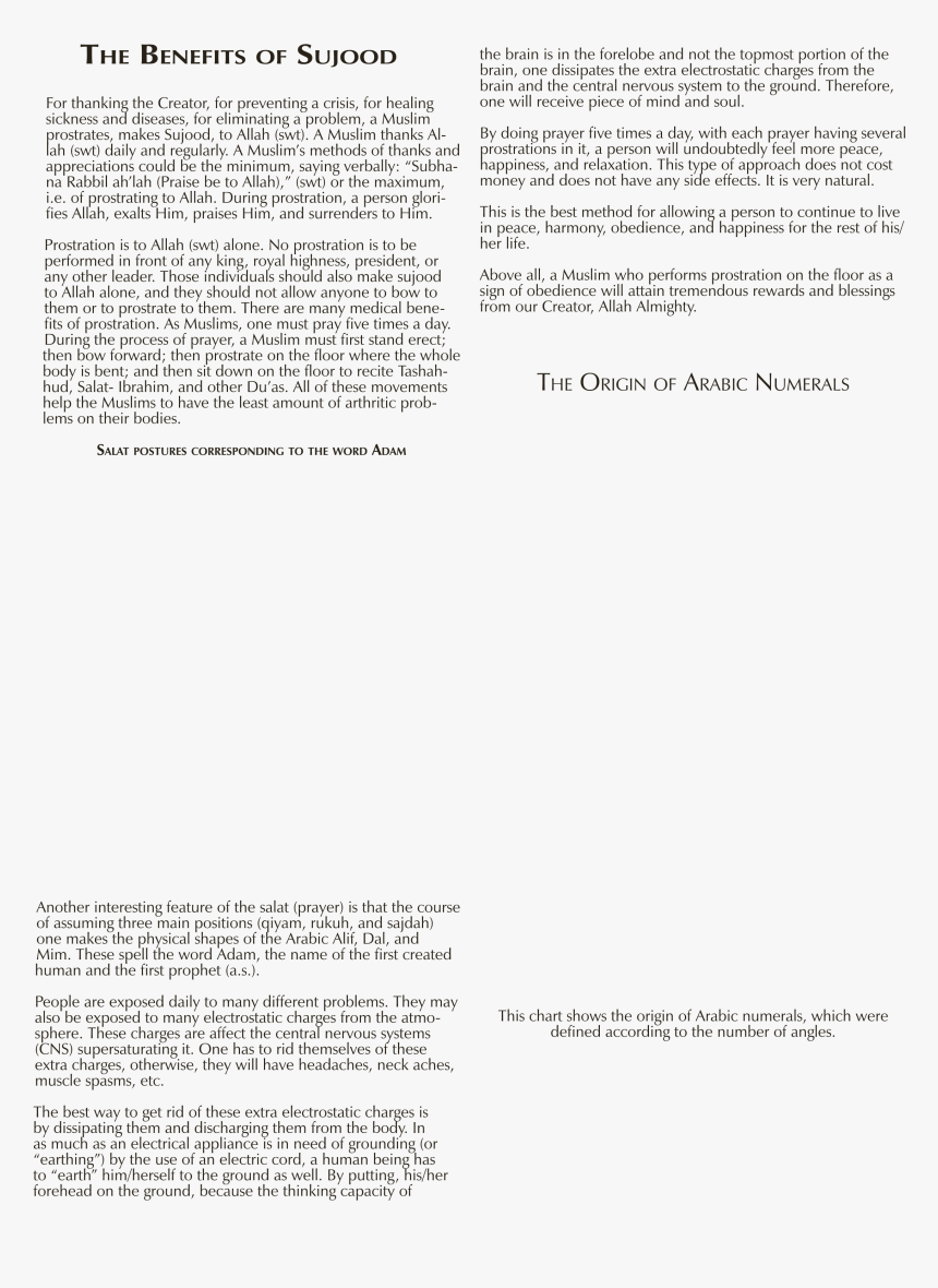 Document, HD Png Download, Free Download