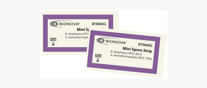 Business Card, HD Png Download, Free Download