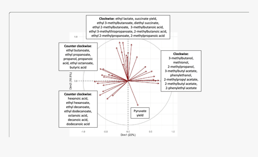 Diagram, HD Png Download, Free Download