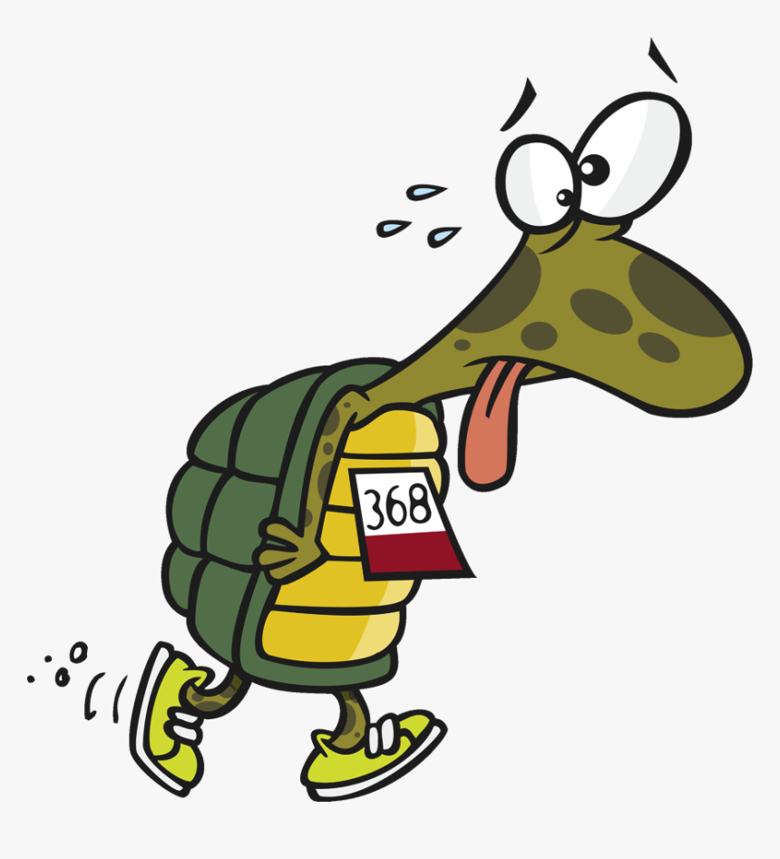 Pacing For Fatigue And - Turtle Running A Race, HD Png Download, Free Download