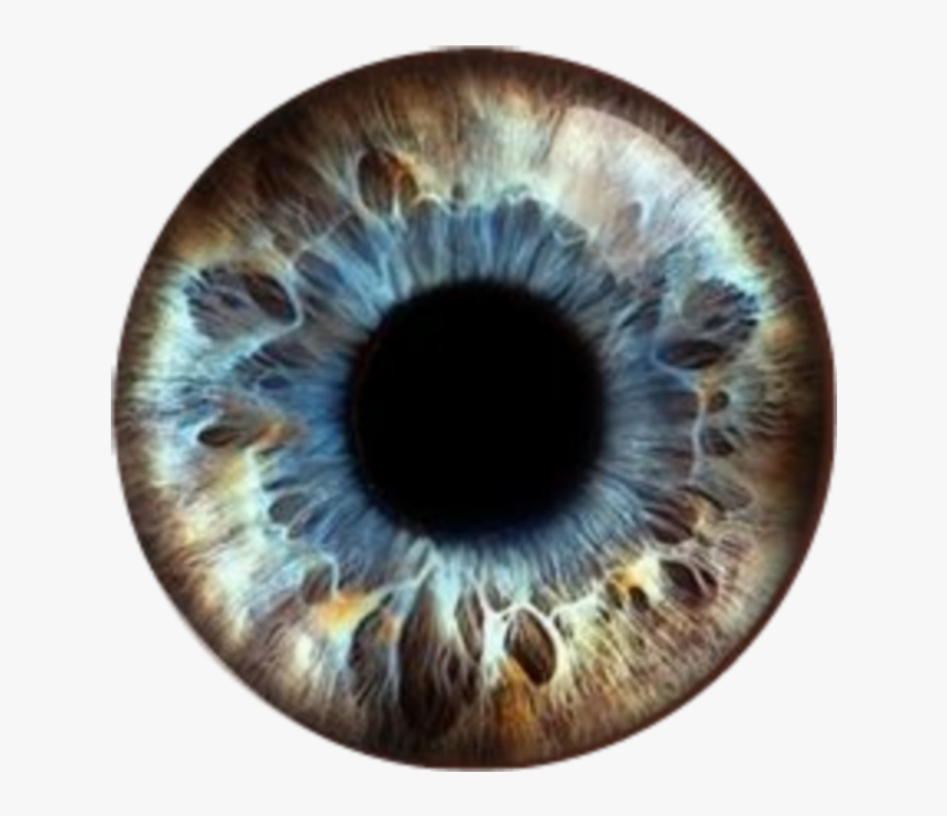 #bluebrown #eyes #pupils #contacts #eyeballs - Ojo Microscopio, HD Png Download, Free Download