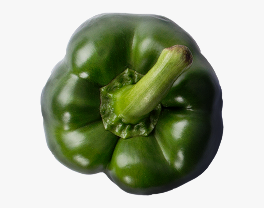 Green Bell Pepper , Png Download - Green Bell Pepper, Transparent Png, Free Download