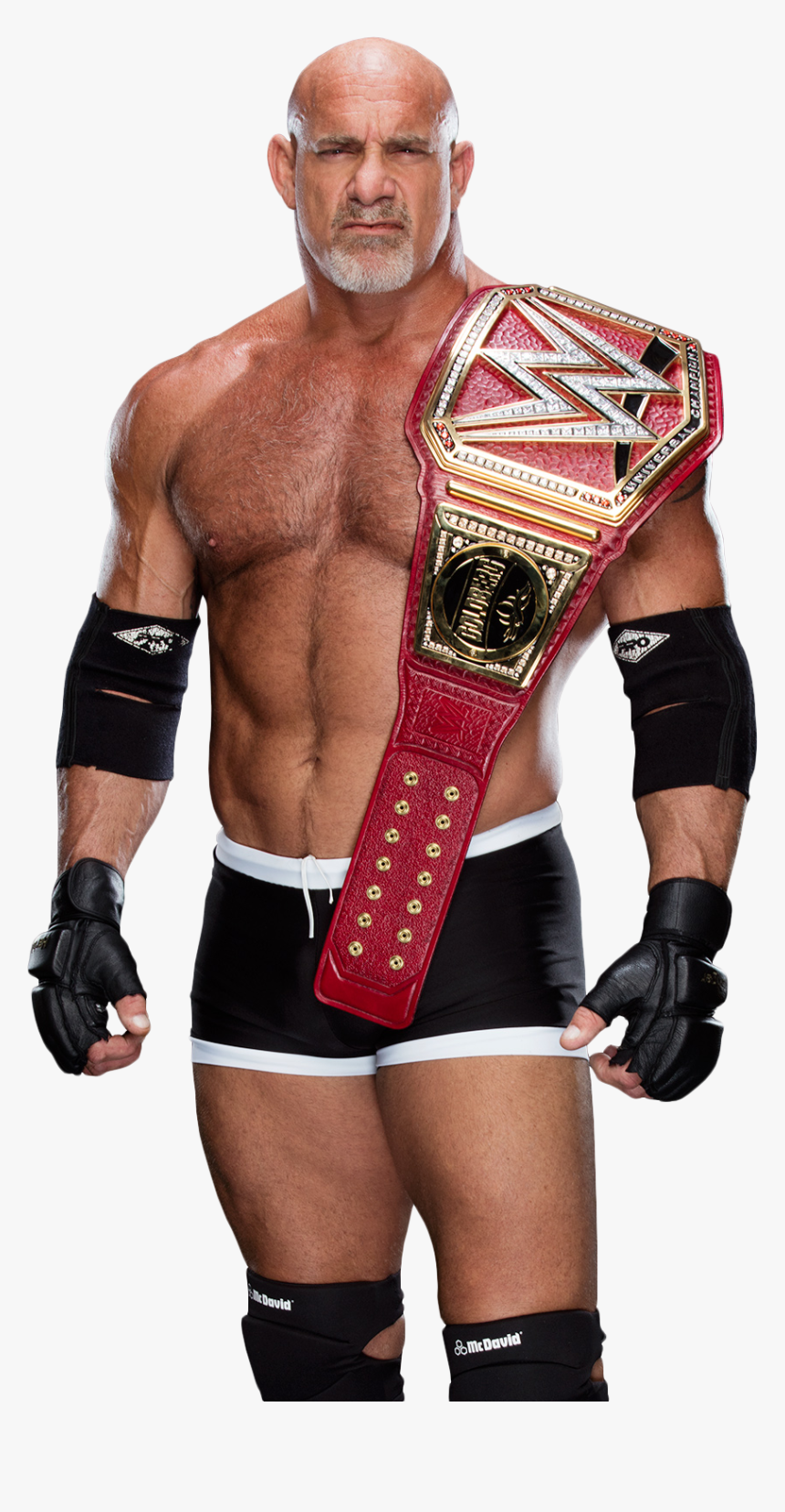 Thumb Image - Goldberg Universal Champion Png, Transparent Png, Free Download