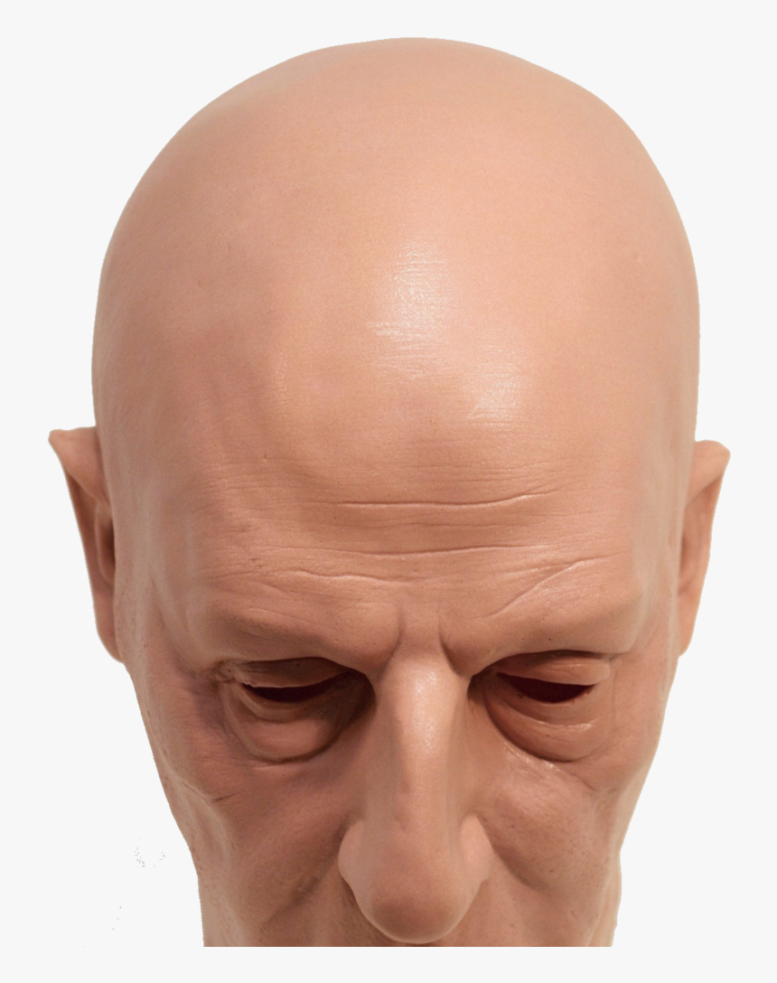 Bald Head Png - Transparent Bald Head Png, Png Download, Free Download