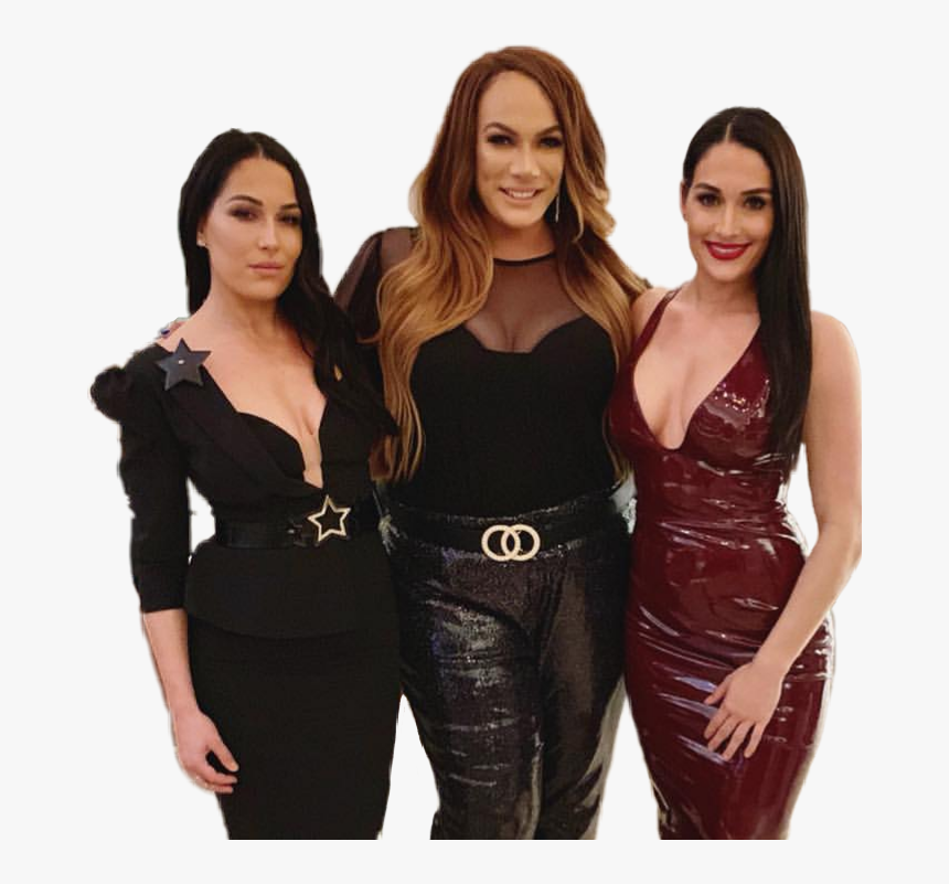 #wwe #nikkibella #niajax #briebella #bellatwins #twins - Girl, HD Png Download, Free Download