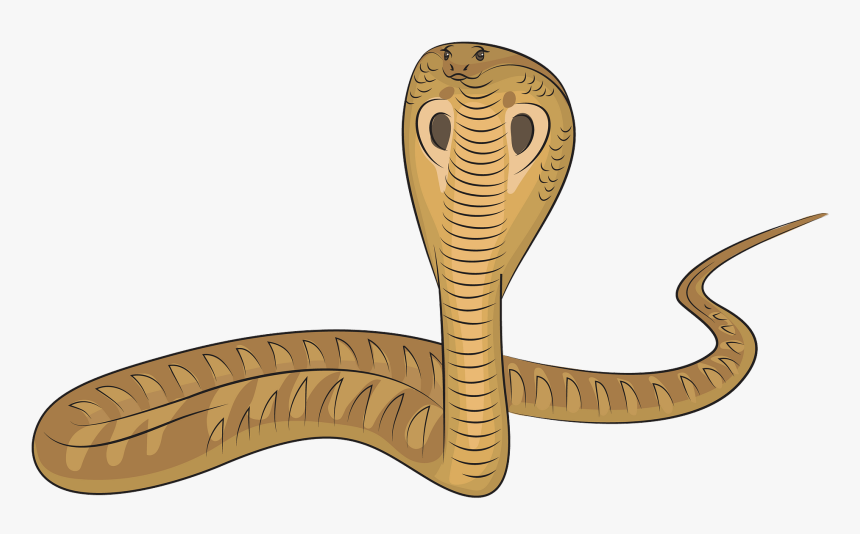 Snake King Cobra Clipart, HD Png Download, Free Download