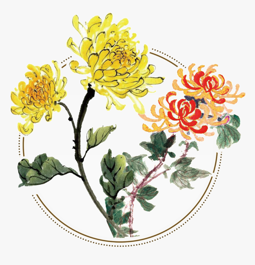 Fresh Two Tone Hand Painted Chrysanthemum Decorative - Chinese Paintings Of Chrysanthemum, HD Png Download, Free Download