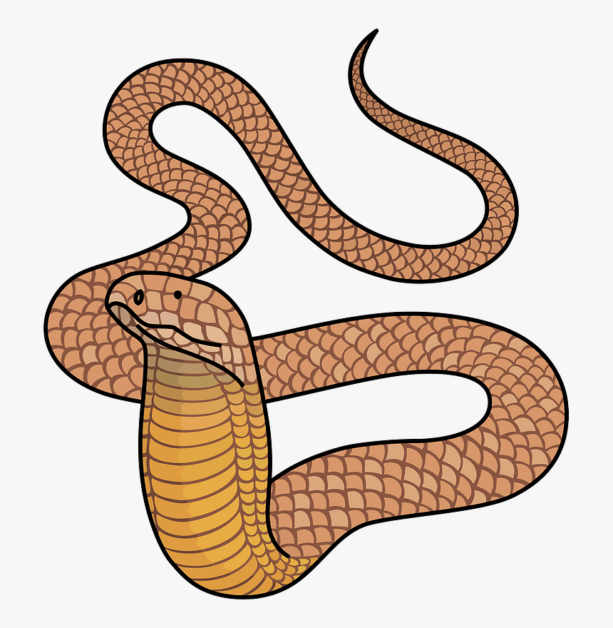 King Cobra Clipart コブラ イラスト フリー Hd Png Download Kindpng