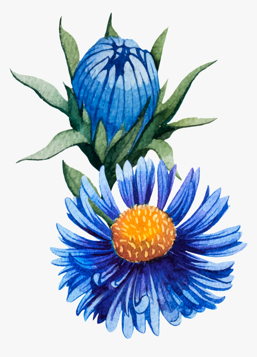 Glamour Blue Hand Painted Chrysanthemum Decorative - Protea, HD Png Download, Free Download