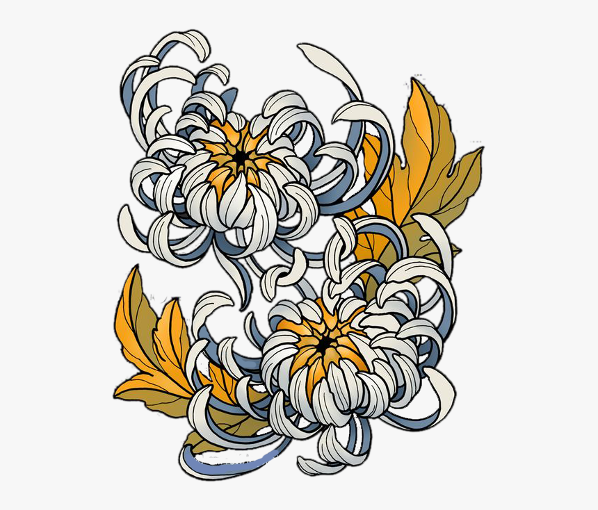 Transparent Chrysanthemum Clip Art - Japanese Chrysanthemum Drawing, HD Png Download, Free Download