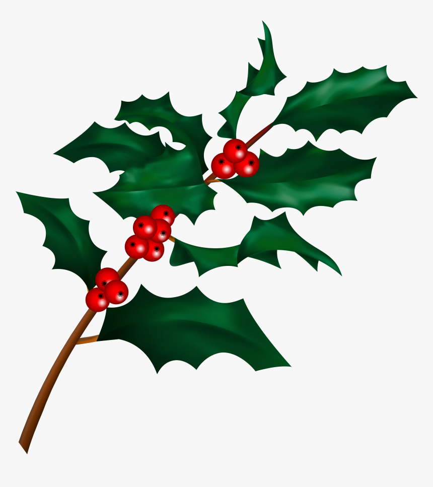 Christmas Holly Clip Art, HD Png Download, Free Download