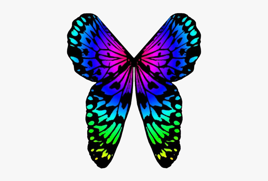 Rainbow Butterfly Png Image Background - Portable Network Graphics, Transparent Png, Free Download