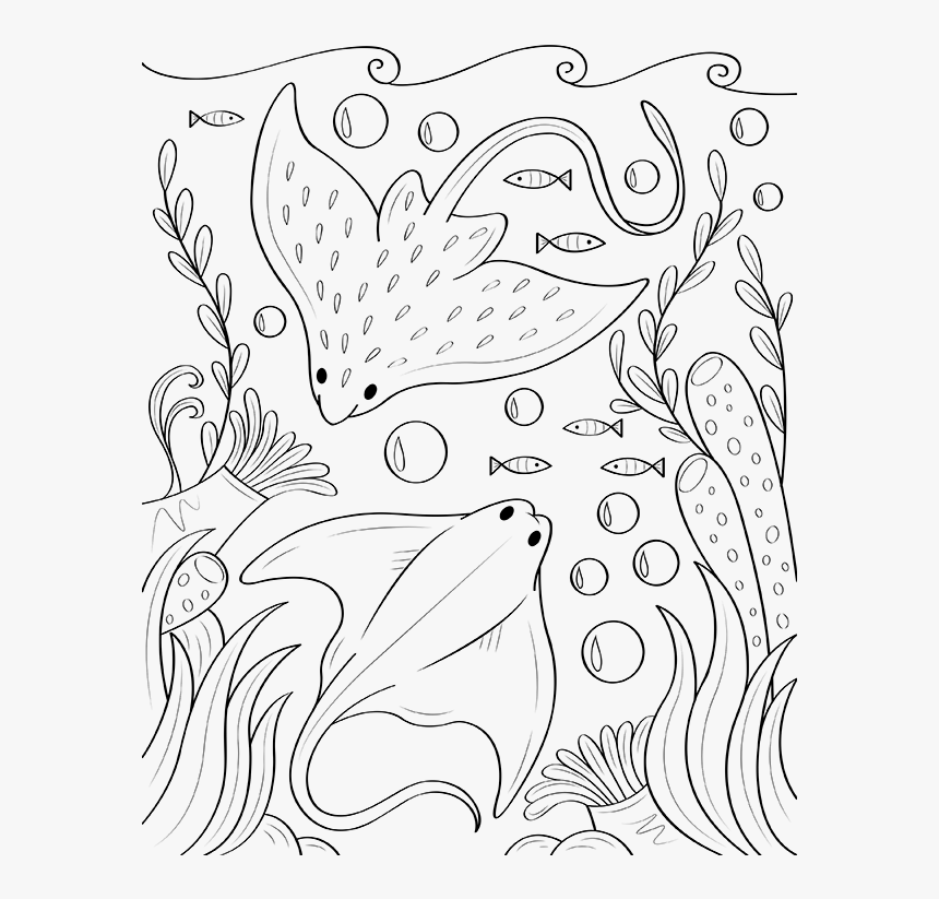 Stingray Coloring Page - Printable Sting Ray Coloring Page, HD Png Download, Free Download