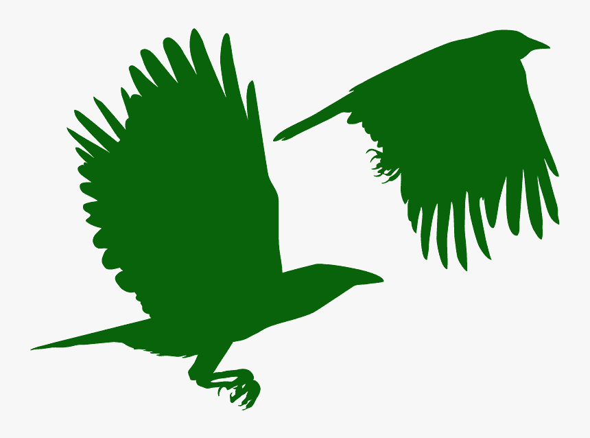 Bird Of Prey, HD Png Download, Free Download