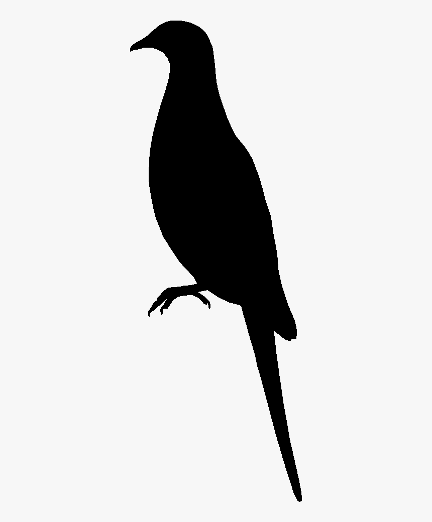 American Crow Silhouette Black Common Raven White - American Crow, HD Png Download, Free Download