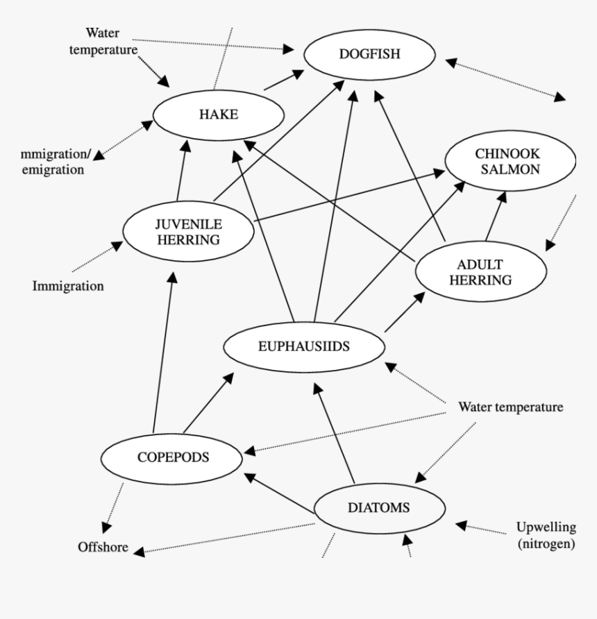 Diagram, HD Png Download, Free Download