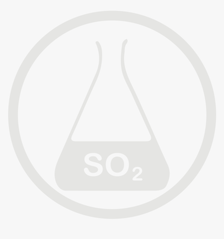 Sulphurdioxide Allergy Grey Icon - So2 Icon, HD Png Download, Free Download