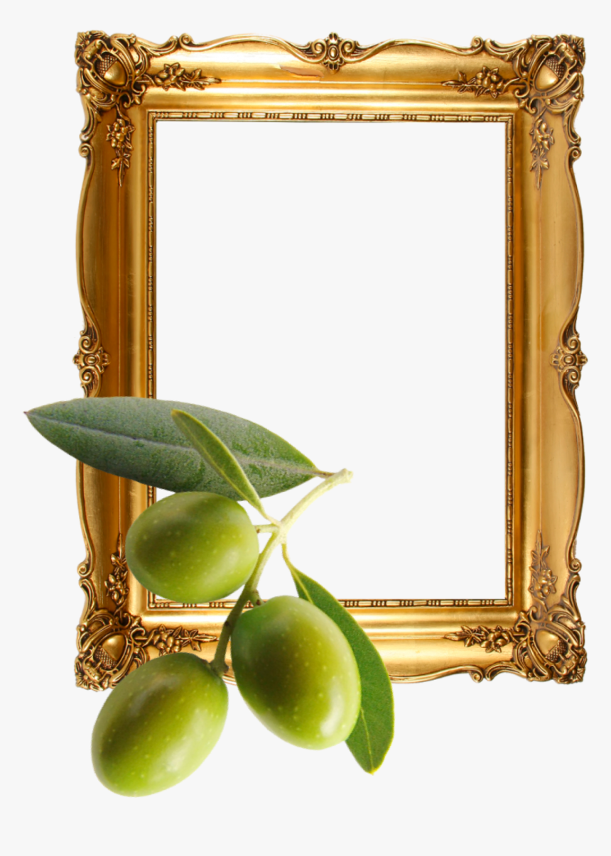 Frame, HD Png Download, Free Download