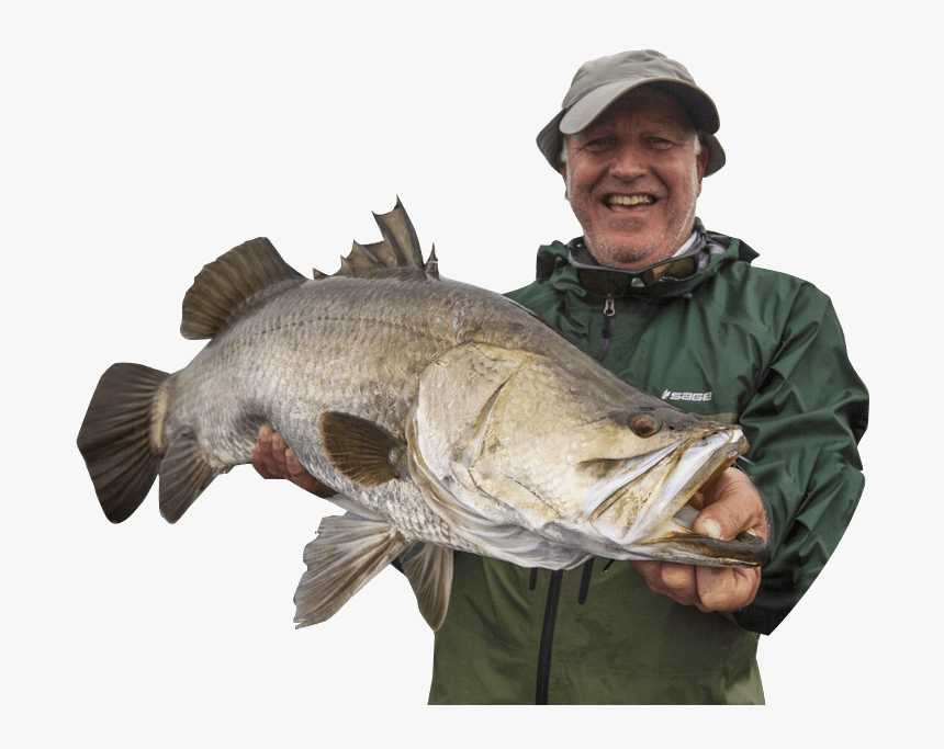 Png Black Bass Fishing Tours - Pull Fish Out Of Water, Transparent Png, Free Download
