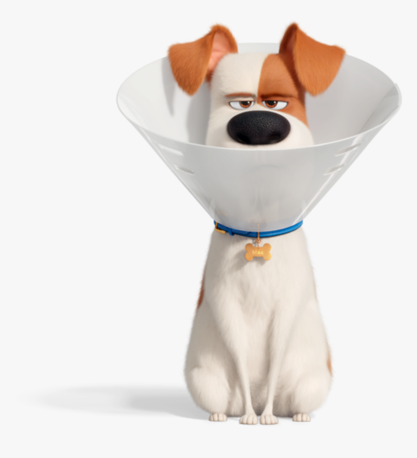 Max - Max From Secret Life Of Pets, HD Png Download, Free Download