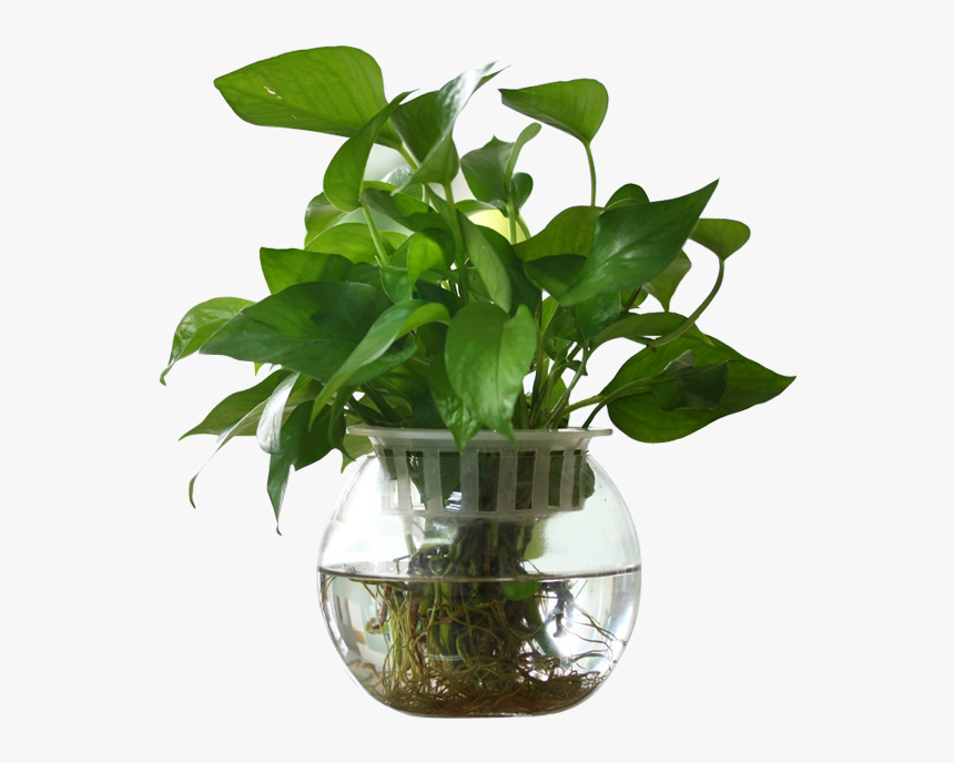 Modern Flower Vase - Moderno Florero Png, Transparent Png, Free Download