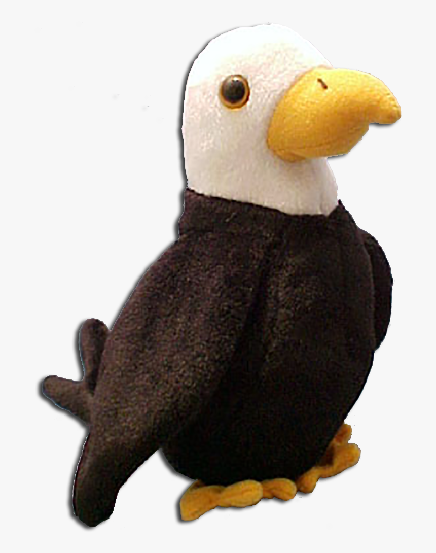 Ty Beanie Babies Baldy The Eagle Stuffed Animal - Beanie Babies Birds, HD Png Download, Free Download